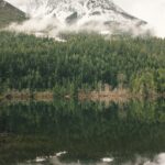 انعکاس کوهستان برفی و جنگل در دریاچه